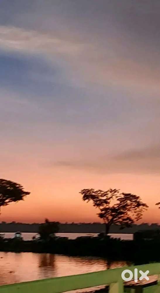 Agricultural Land for lease