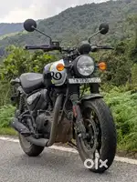 Rebel Black