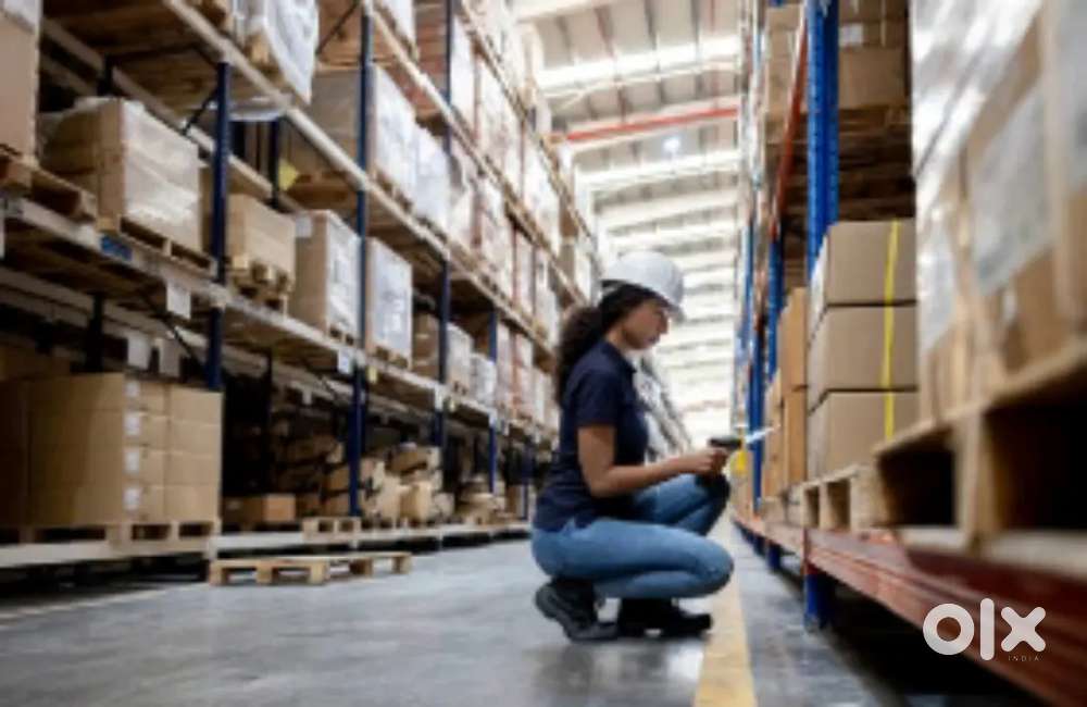 Designation - Assistant (Paking, Piking, scaning, inventory, inbound)