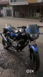 Blue colour pulsor 150