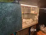 Steel juice stall for sale