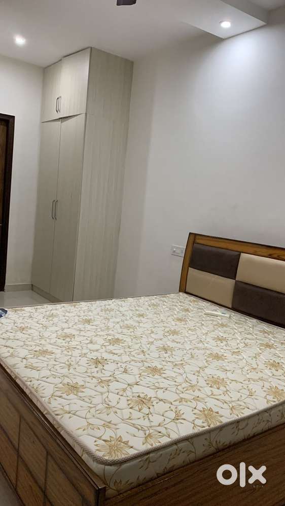 1 girl roommate needed in sharing flat Aster city