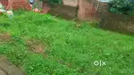 রাজমহিষী স্কুলের সন্নিকটে
