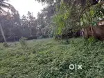Land adjacent to Metro station Aluva