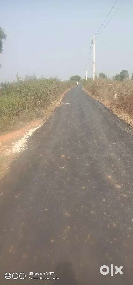 Plot land for sell agriculture land for sell