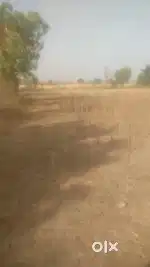 Best for investment and agriculture
