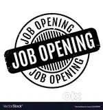 IT Support Engineer