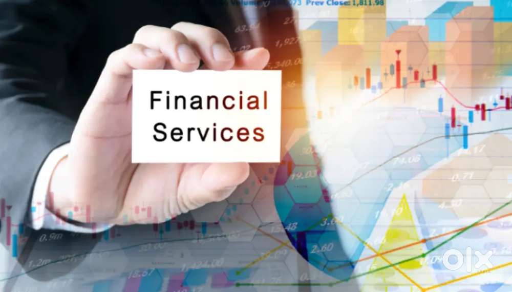 Providing Loans and Finance services