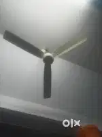 Fan 4 numbers