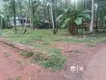 5 cent/9 cent land 6 lakh near chevarambalam cwrdm road