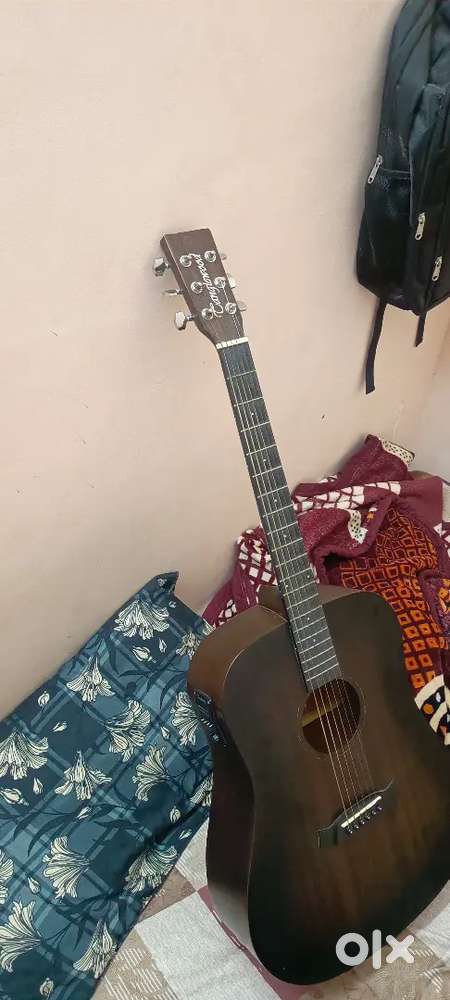 Semi acoustic guitar / semi electrical guitar