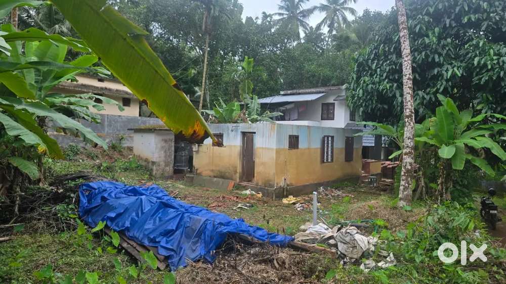 Residential Plot Near New Bypass, Melur -

8.5 Cent, Koyilandy