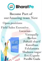 We are hiring bharatpe filed sales executive