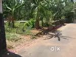 6.5cent, 16L/cnt, 300 meters to Mission Hospital, East Fort, Thrissur