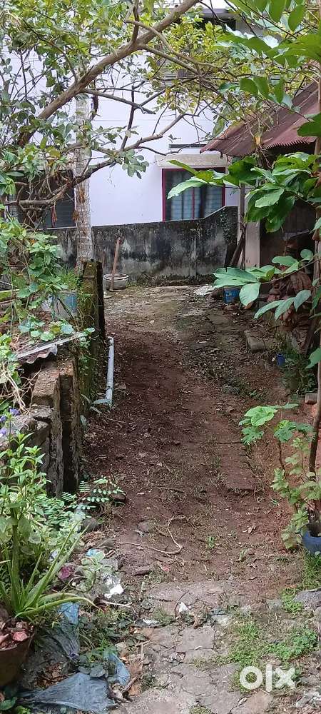 Plot for sale