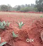 40 Cent Empty Land - Only For Rent  ( NOT FOR SALE)