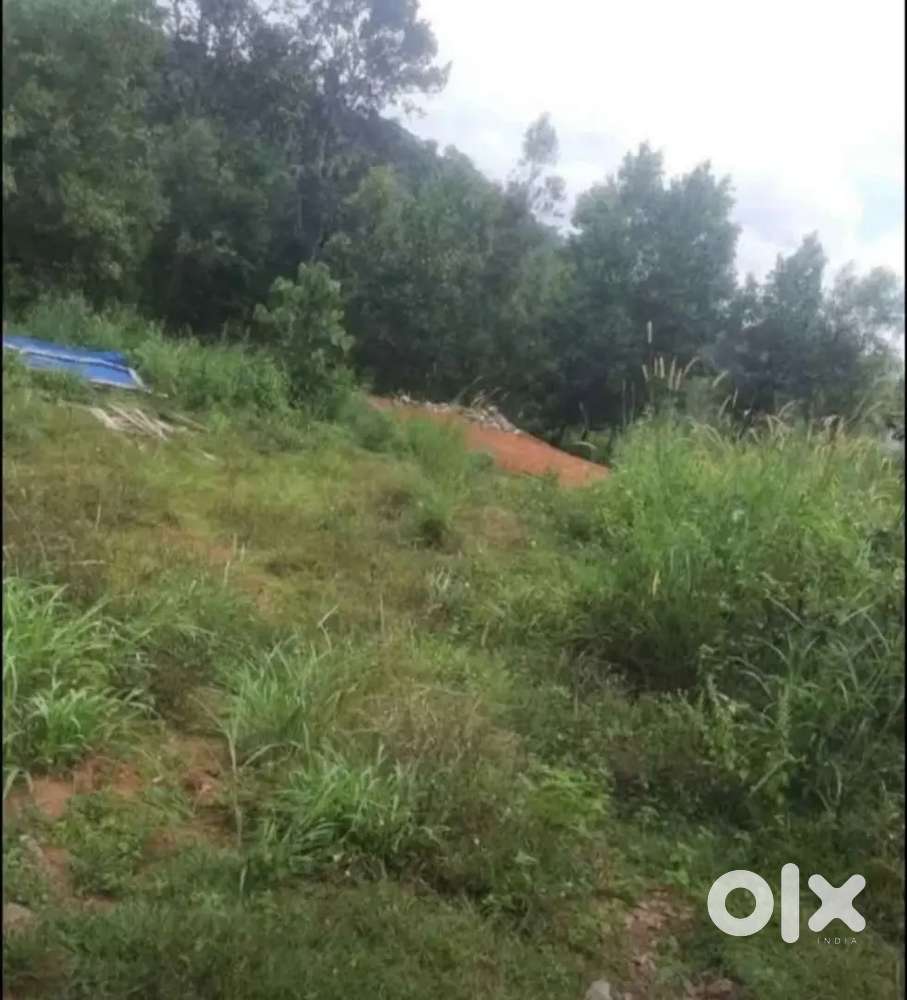 Ten cent place for sale