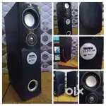 ZEBRONIC tower speakers
