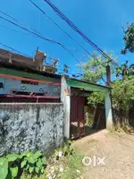 New building and assam type house