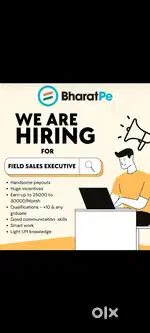 Field sales executive