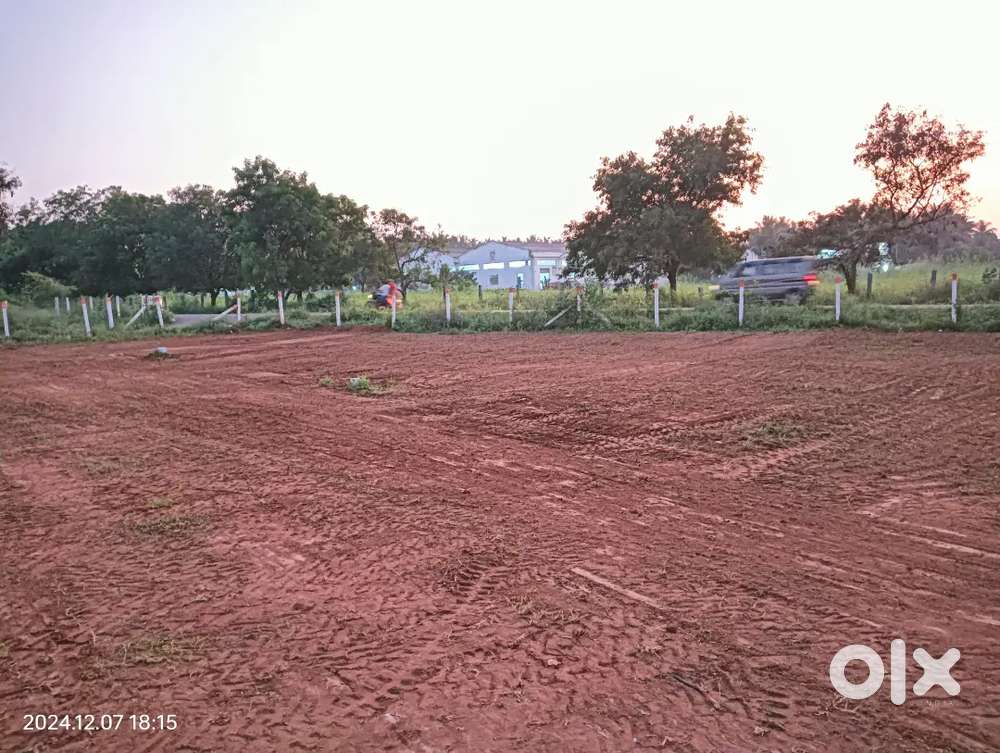 Budget friendly best plots