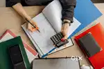 Female Experienced Accountant