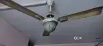 Light fan for selling