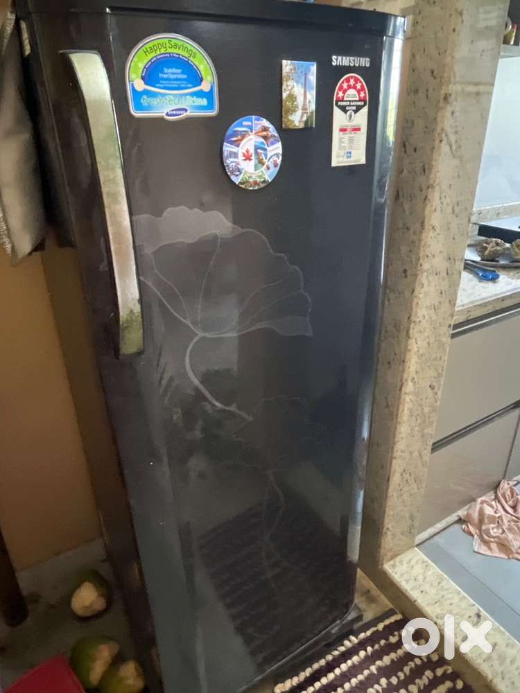 Single Door Refrigerator 230 Ltrs - Samsung