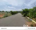 2.75 CENTS INDIVIDUAL PLOTS FOR SALE  NEAR ANNUR