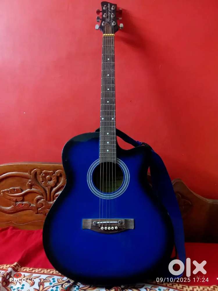 Flamingo Premium Model Acoustic Guitar