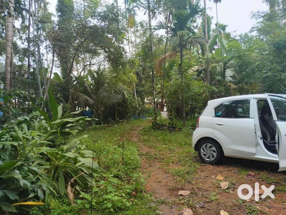 Prime Residential Plot for Sale in Vaikom - 21 Cents with Road Access