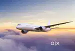 Ground Staff jobs in indigo Airlines urgent hiring apply