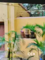 Debasish PG