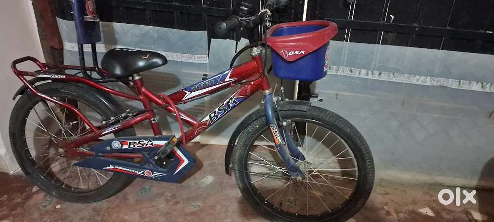 BSA Cycle 1yr old
