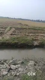 Land available for sale near sharishahat @15Lakh per Bigha