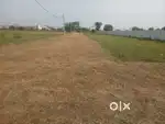 Every size of Plot are Available at Affordable price