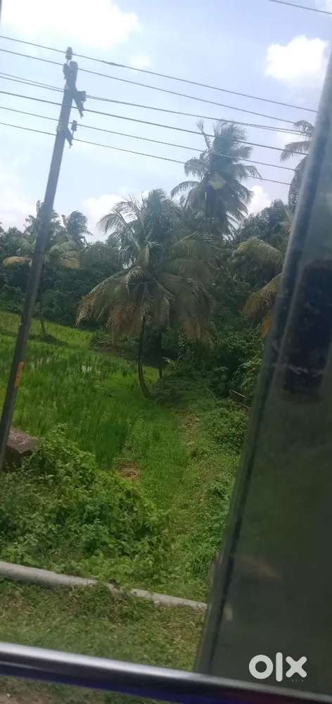 House for rent and lease