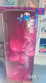 Fresh condition