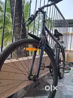 5 months old cycle