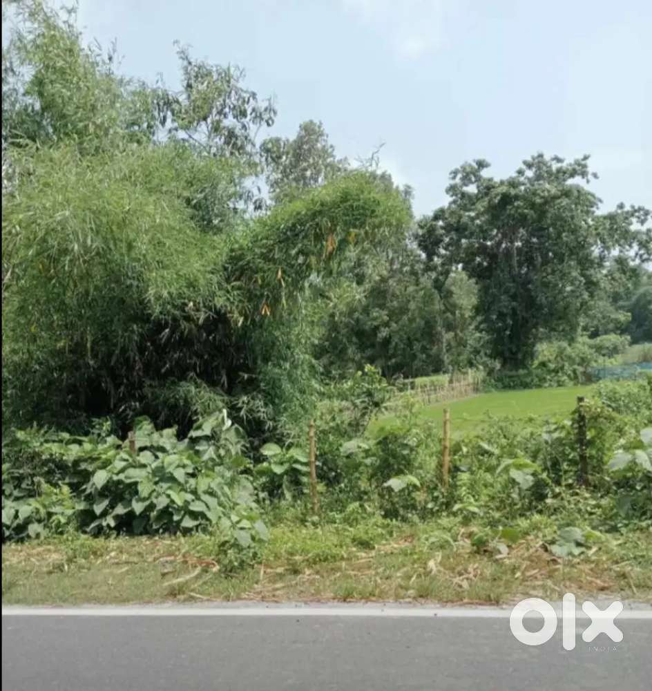 Location -Manikpur, Adlaguri