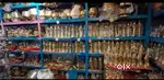 Shop sales staff/sales person