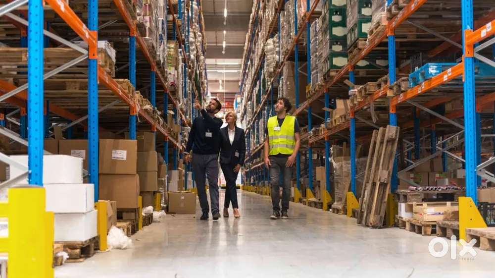 Hiring freshers for job