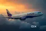 Cabin Crew/ Airport Ground Staff Jobs in Indigo airlines.