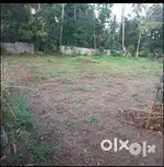 House plot for sale (paramb)