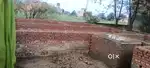 New location purchase plot