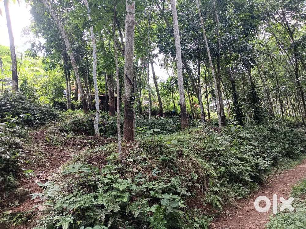Lorry site Plot for sale 38, 10, 7 cent