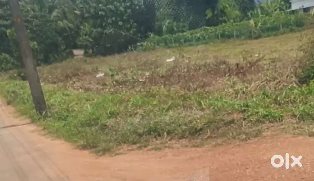 ഹൗസ് പ്ലോട്ട് വില്പനക്ക്