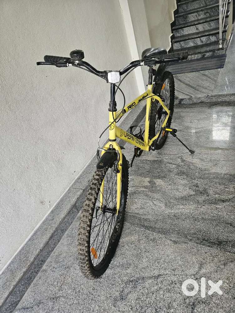 Bicycle for adults