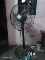 Fan 799 single room