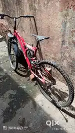 Freemotion cycle